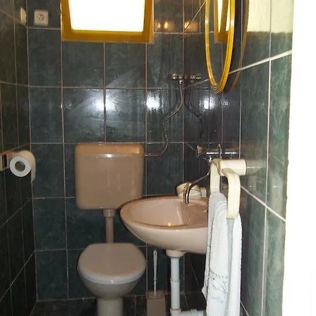 Brist 11039a Veliki Drvenik